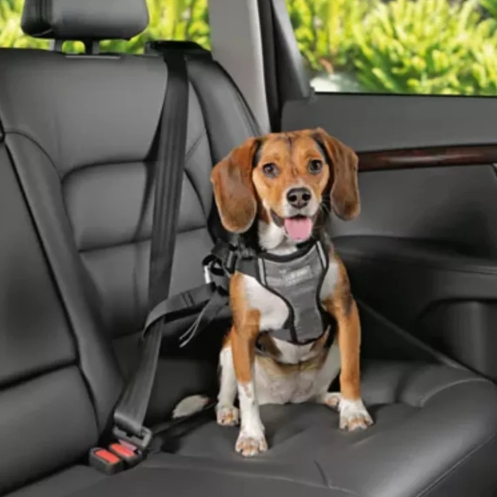 Top Paw Black and Gray Dog Harness